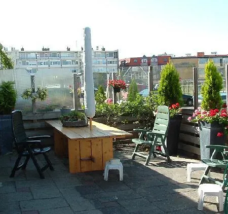 Elfrank * Bergen aan Zee